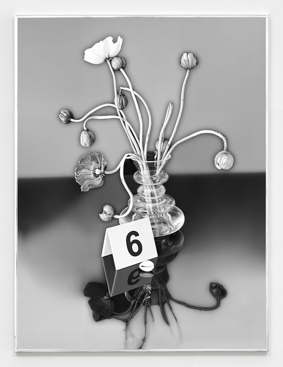 Installation view, Moon, Turn the Flames...Gently Gently Away, Sean Kelly · 2025 (20)
