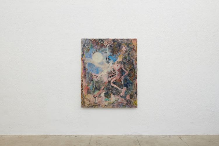 Installation view, Not bird, not horse, not insect, Ehrlich Steinberg · 2026 (6)