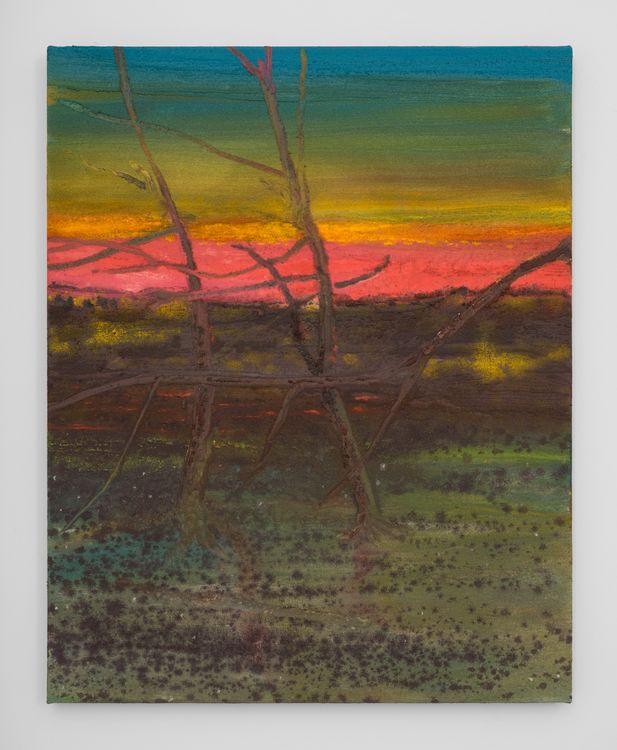 Installation view, Sean Cairns: And when morning comes it comes in the morning and never at night, 12.26 · 2026 (25)