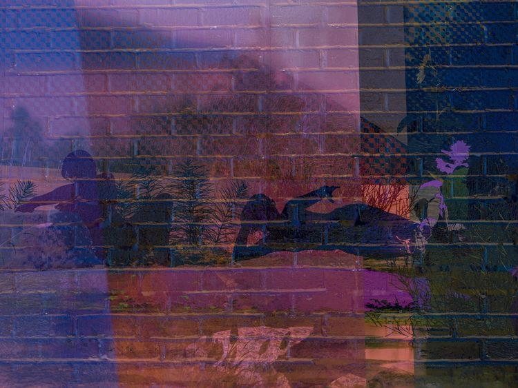 Zoe Walsh: Gathering, installation view, ICA LA, 2026