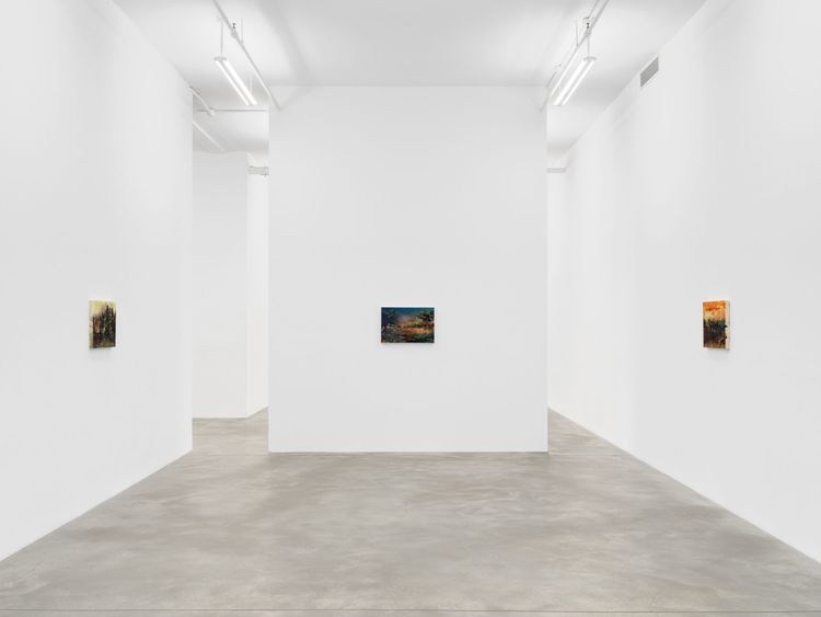 Installation view, All I Thought / I Loved, Casey Kaplan · 2026 (2)