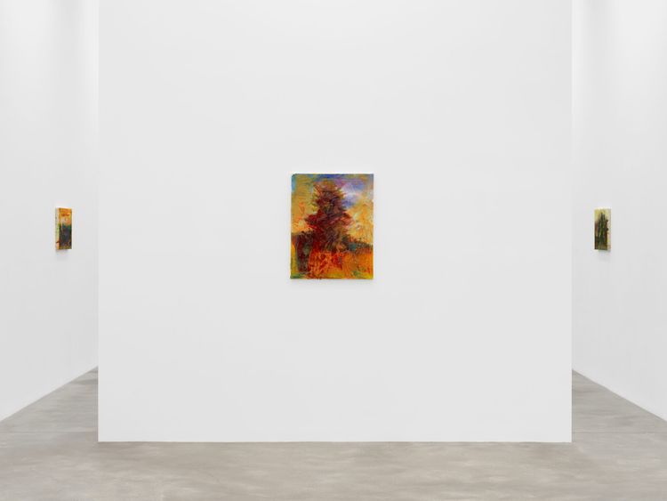 Installation view, All I Thought / I Loved, Casey Kaplan · 2026 (4)