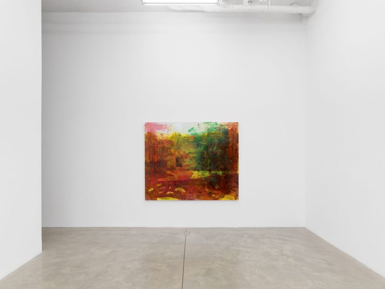 Installation view, All I Thought / I Loved, Casey Kaplan · 2026 (5)