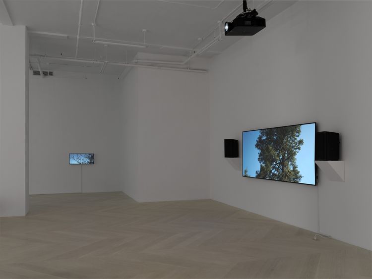 Installation view, All I Thought / I Loved, Casey Kaplan · 2026 (10)