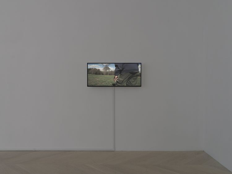 Installation view, All I Thought / I Loved, Casey Kaplan · 2026 (8)