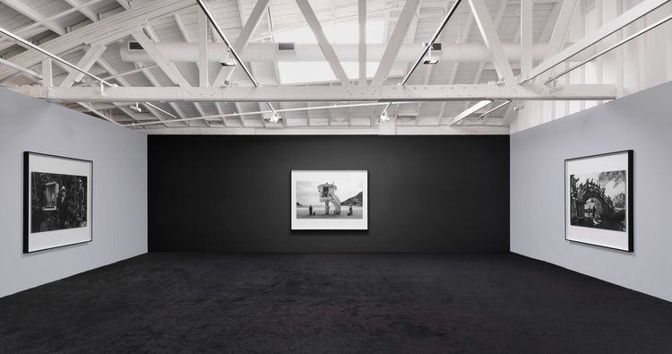 Installation view, Sparrow on the Sea, Marian Goodman · 2025 (3)