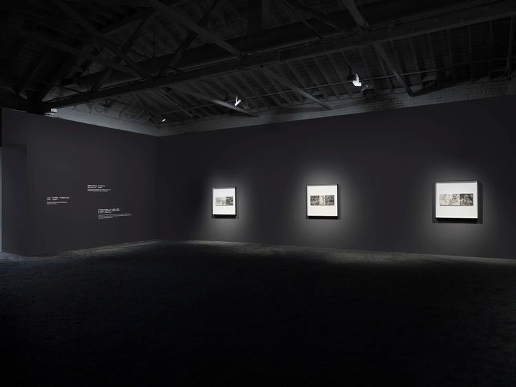 Installation view, Sparrow on the Sea, Marian Goodman · 2025 (2)