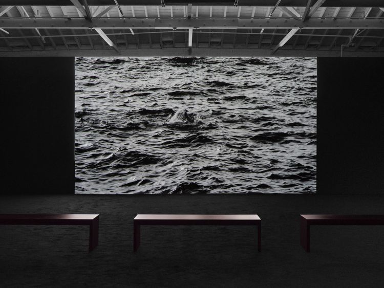 Installation view, Sparrow on the Sea, Marian Goodman · 2025 (6)