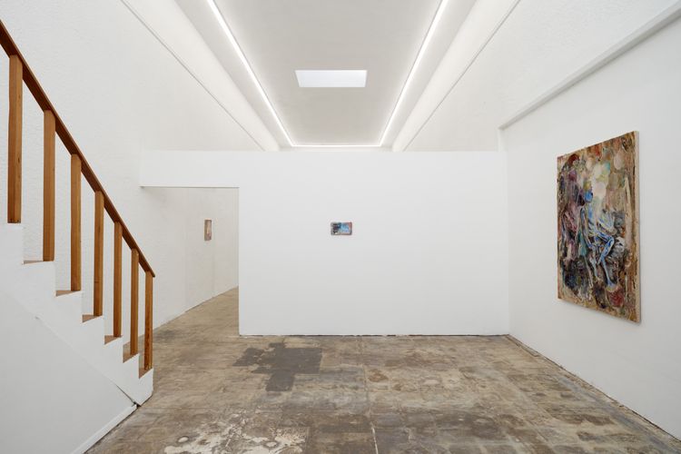 Installation view, Not bird, not horse, not insect, Ehrlich Steinberg · 2026 (4)