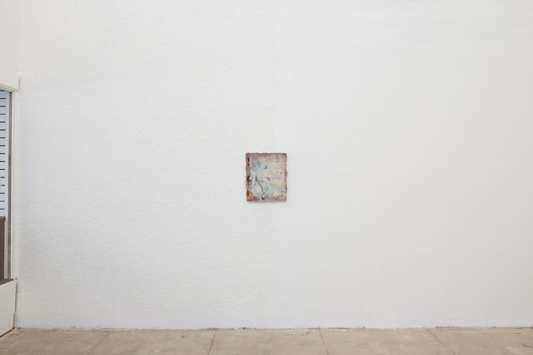 Installation view, Not bird, not horse, not insect, Ehrlich Steinberg · 2026 (3)