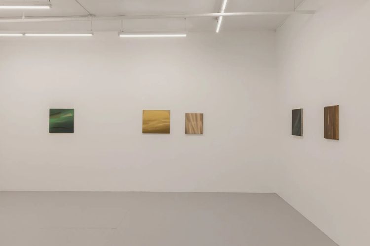Installation view, Absolute ceiling, Instituto de Visión · 2026 (3)