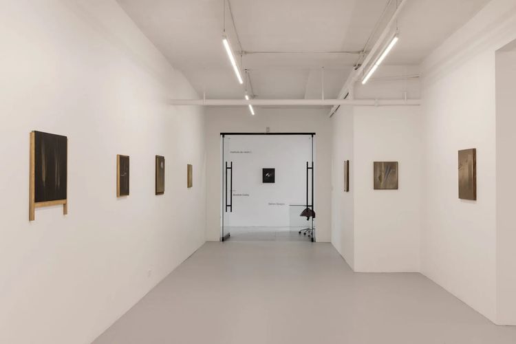 Installation view, Absolute ceiling, Instituto de Visión · 2026 (2)