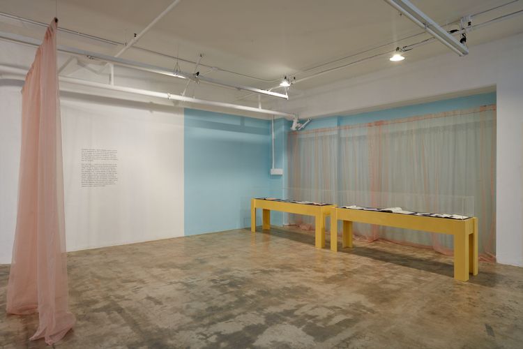 Installation view, a bookwork in many places, Joan · 2026 (2)