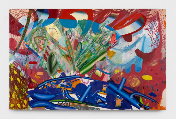 Installation view, Wild Domestic, Asya Geisberg Gallery