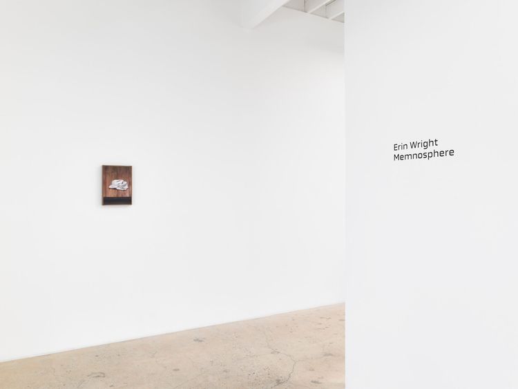 Installation view, Memnosphere, Anat Ebgi, Los Angeles · 2026 (31)
