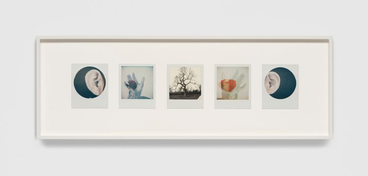 Installation view, Trial of the Finger, Marian Goodman · 2026 (12)
