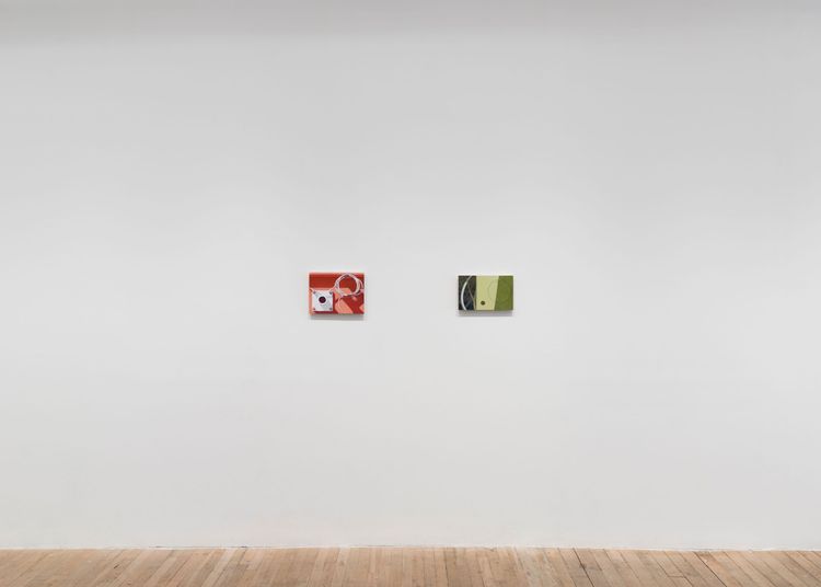 Installation view, Altoon Sultan, Hoffman Donahue · 2026 (3)