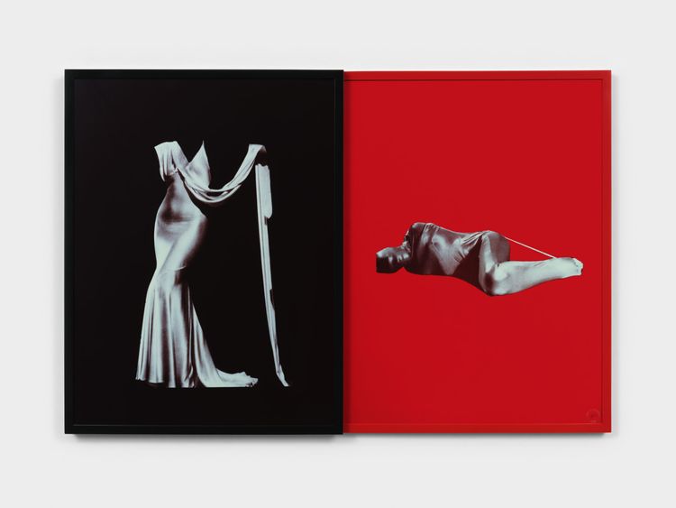 Installation view, Desire and Seduction, Paula Cooper, 521 W 21st Street