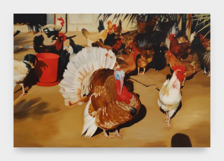 Installation view, Bucket of Birds, Night Gallery · 2026 (11)