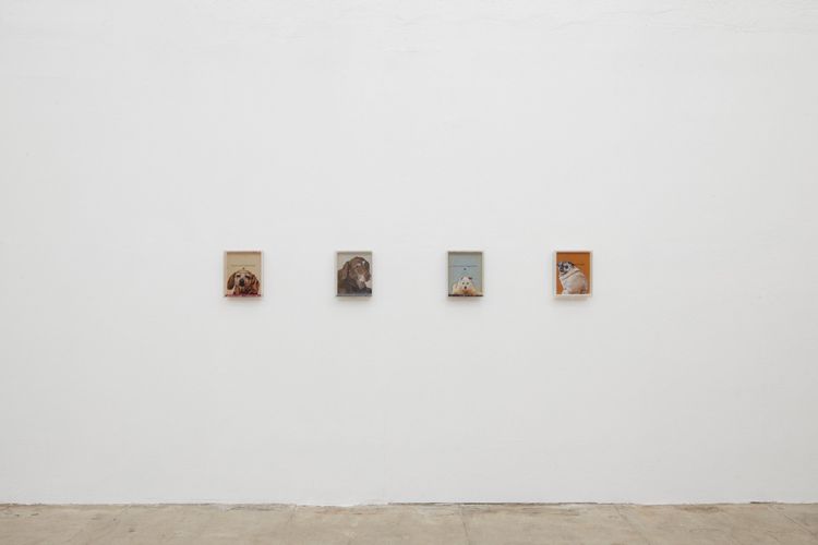 Installation view, Nymph, Ehrlich Steinberg · 2025 (2)