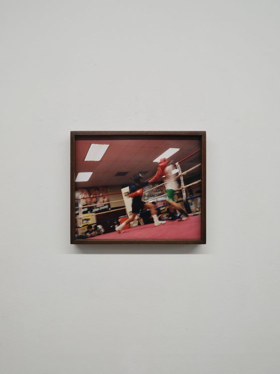 Installation view, MORETON, Authorized Dealer Gallery · 2026 (8)