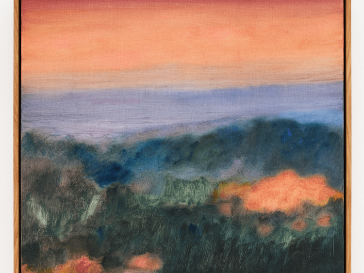 Installation view, In Bloom, AP Space