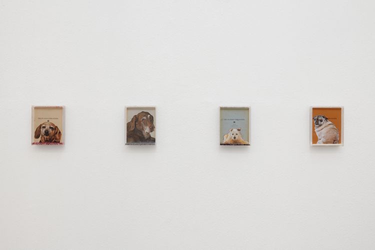 Installation view, Nymph, Ehrlich Steinberg · 2025 (3)
