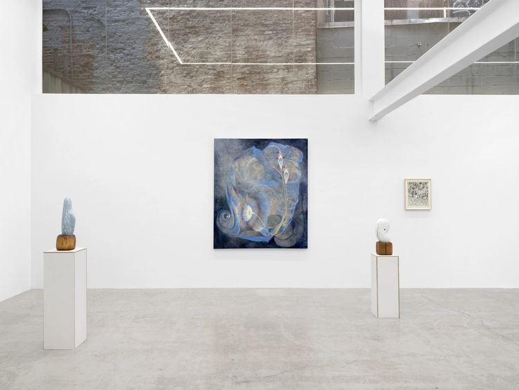 Installation view, Marie Tomanova, Harkawik Gallery · 2026 (9)