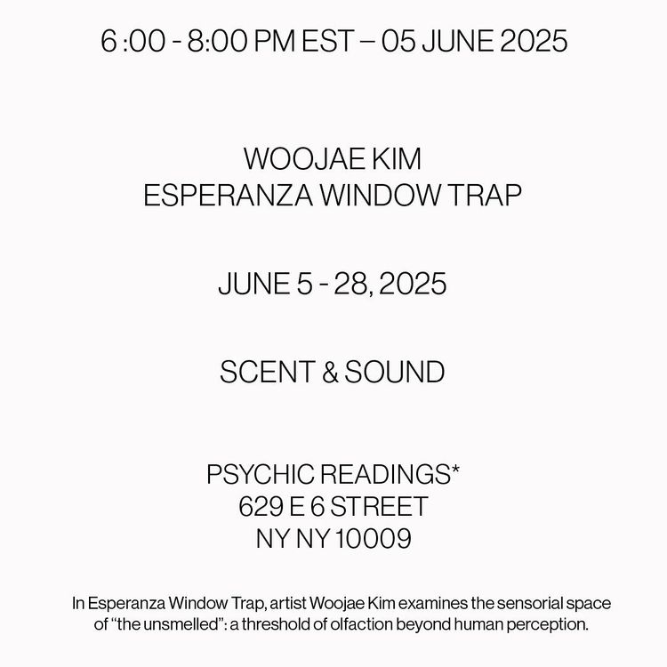Installation view, Esperanza Window Trap, Psychic Readings