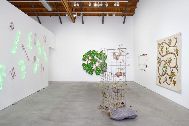 Installation view, Gabrielinos (I Am You And What I See Is Me), Perrotin · 2026 (6)