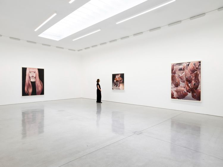 Installation view, Persona Works, David Kordansky Gallery · 2026 (5)