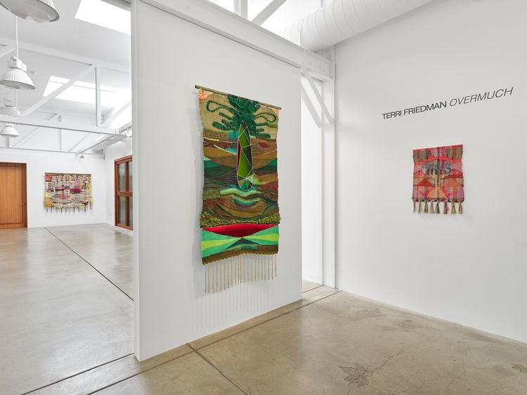 Installation view, Overmuch, Anthony Meier  · 2026 (4)