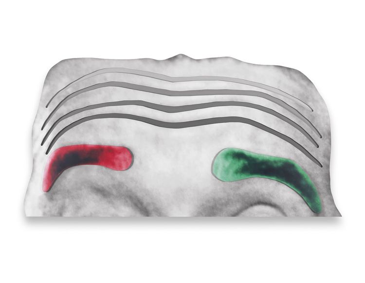 John Baldessari, Raised Eyebrows/Furrowed Foreheads (Part One): (Red and Green Eyebrows), 2008, Ink-jet prints and acrylic paint on layered and shaped foam PVC board and polystyrene board (with custom-cut raised and incised elements), 145.4 × 283.8 × 17.1 cm | 57 1/4 × 111 3/4 × 6 3/4 inches