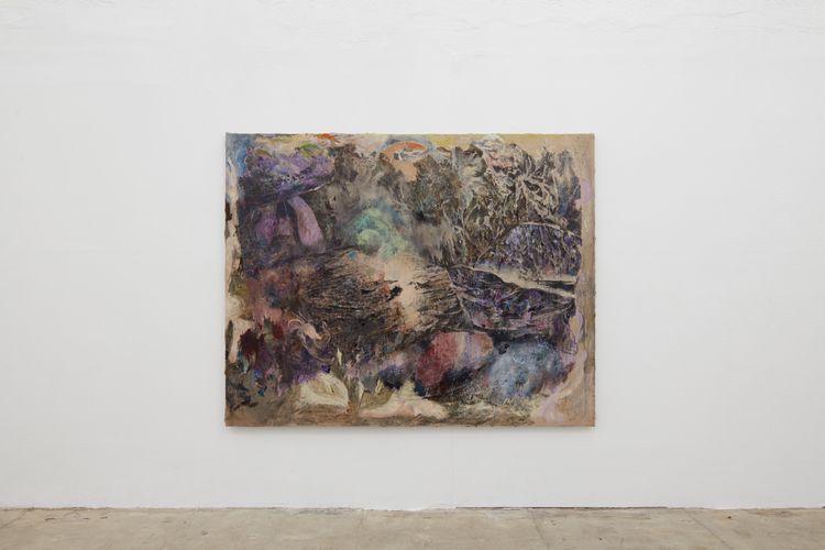 Installation view, Not bird, not horse, not insect, Ehrlich Steinberg · 2026 (5)