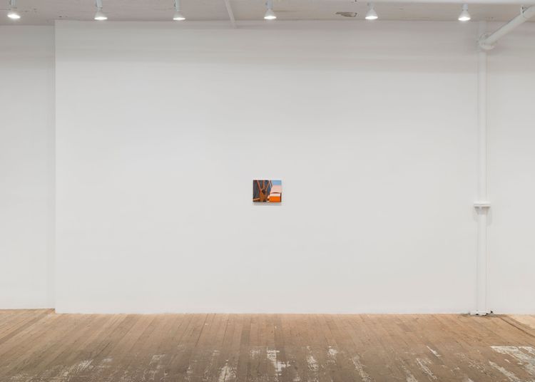 Installation view, Altoon Sultan, Hoffman Donahue · 2026 (6)