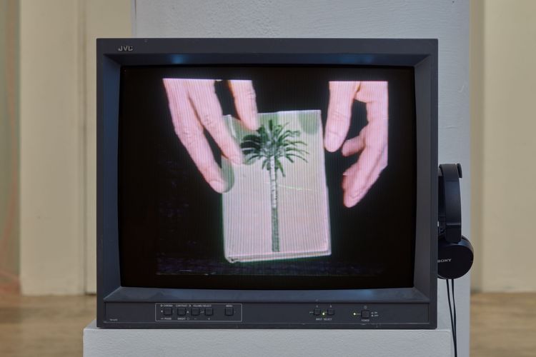 Installation view, a bookwork in many places, Joan · 2026 (12)