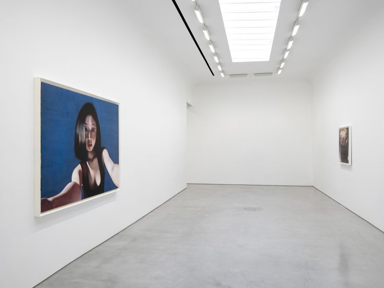 Installation view, Persona Works, David Kordansky Gallery · 2026 (9)