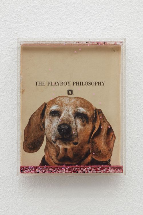 Installation view, Nymph, Ehrlich Steinberg · 2025 (5)