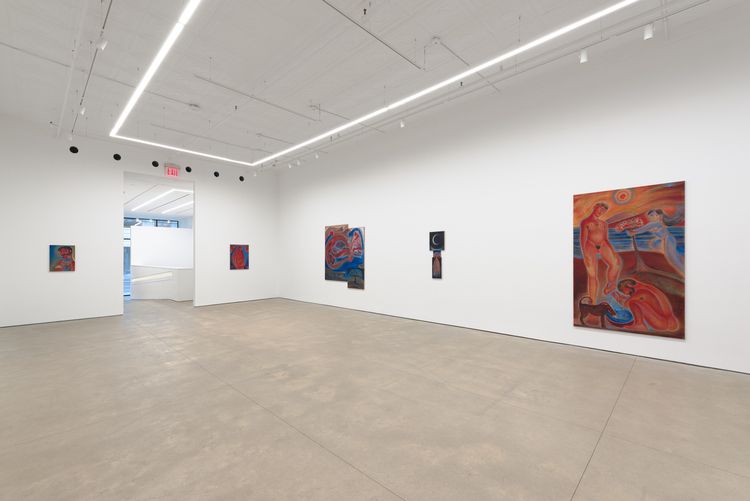Installation view, El amor se esconde como un animal salvaje , PPOW, 392 Broadway · 2026 (2)