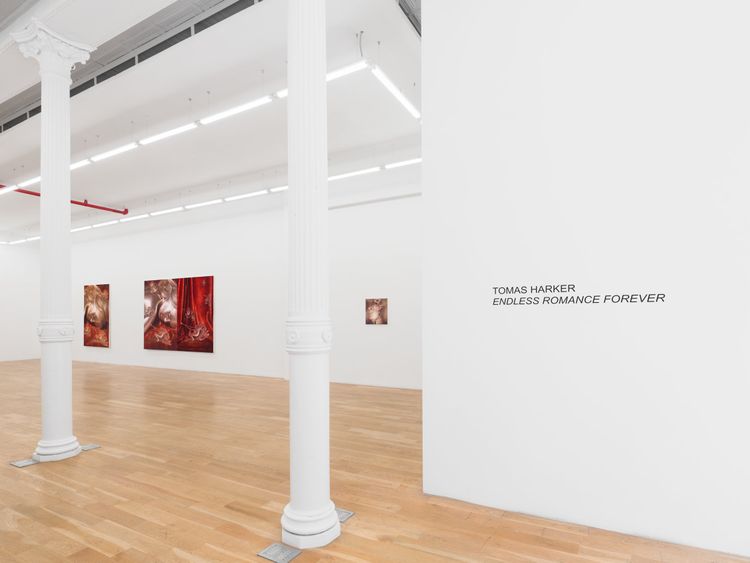 Installation view, Tomas Harker: Endless Romance Forever, Nicodim, New York, 2026