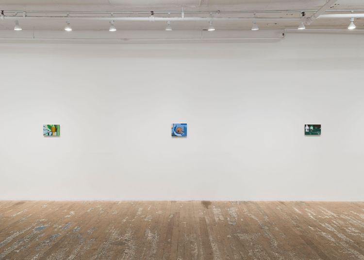 Installation view, Altoon Sultan, Hoffman Donahue · 2026 (9)