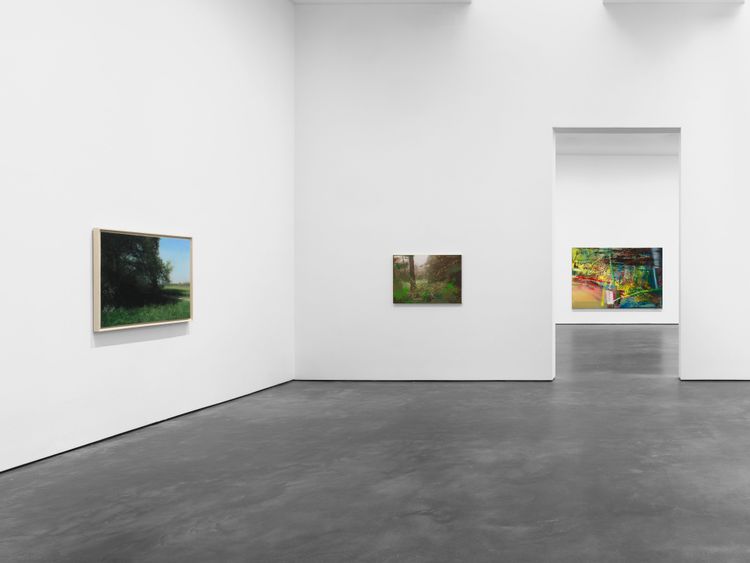 Installation view, Landschaften, David Zwirner, 537 West 20th Street · 2026 (8)