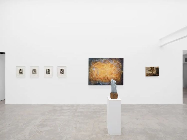 Installation view, Marie Tomanova, Harkawik Gallery · 2026 (4)