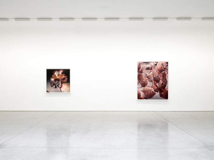 Installation view, Persona Works, David Kordansky Gallery · 2026 (10)