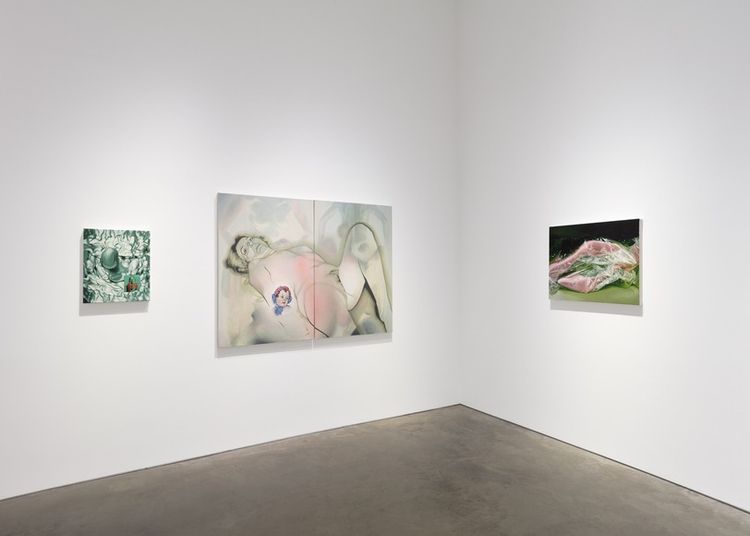 Installation view, Charlotte Fox, 303 Gallery · 2026 (4)