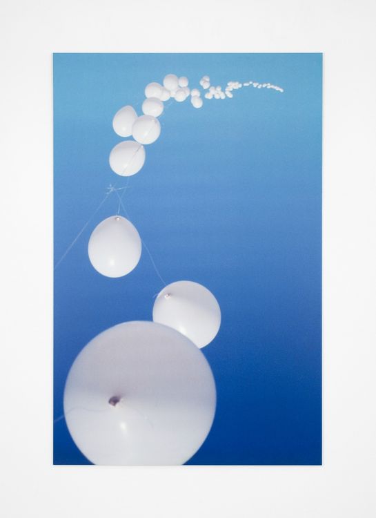 Installation view, WOODS LANDS MEADOWS숲 · 대지 · 초원, Paula Cooper, 521 W 21st Street · 2026 (2)