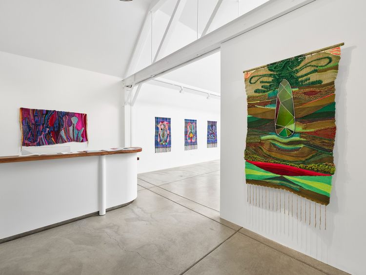 Installation view, Overmuch, Anthony Meier  · 2026 (6)