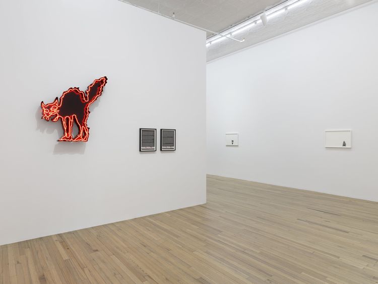 Installation view, Andrea Bowers: Democracy Needs Our Courage, Andrew Kreps Gallery, New York, 2026. Photo: Elisabeth Bernstein