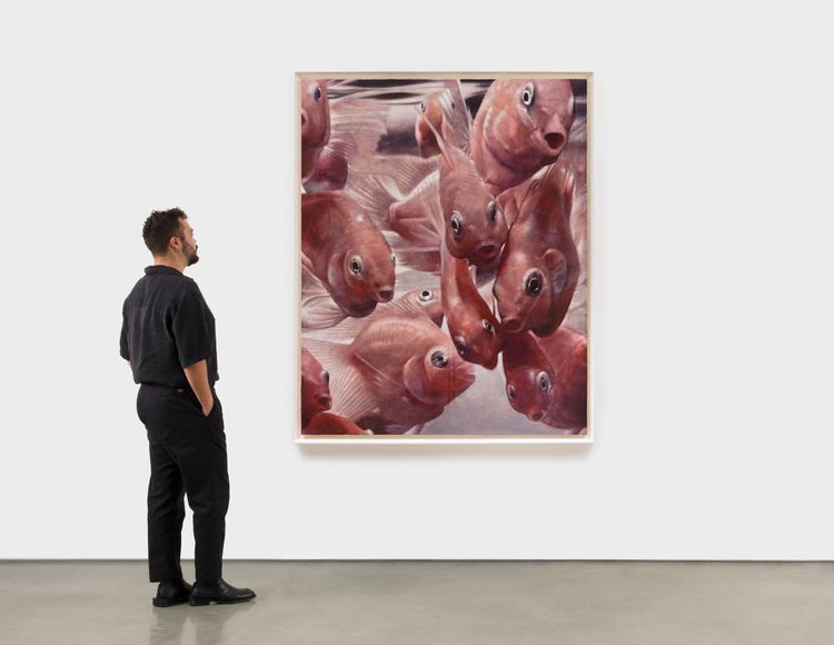 Installation view, Persona Works, David Kordansky Gallery · 2026 (3)