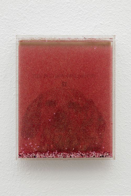 Installation view, Nymph, Ehrlich Steinberg · 2025 (7)